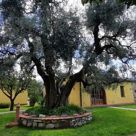 Holiday home Lorenzo Con Wi-fi, Aria Condizionata, Posto Auto Castagneto Carducci