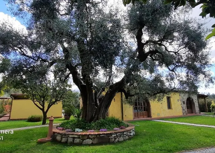 Holiday home Lorenzo Con Wi-fi, Aria Condizionata, Posto Auto Castagneto Carducci